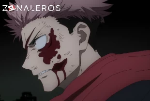 Ver Jujutsu Kaisen temporada 2 episodio 22