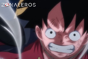 Ver One Piece temporada 1 episodio 1025
