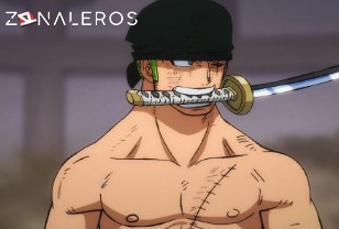 Ver One Piece temporada 1 episodio 1046