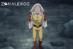 Ver One Punch Man temporada 3 episodio 9