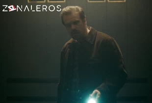 Ver Stranger Things temporada 1 episodio 5