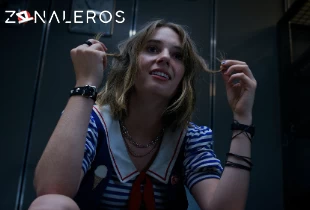 Ver Stranger Things temporada 3 episodio 7