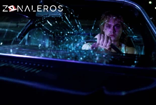 Ver Stranger Things temporada 3 episodio 8