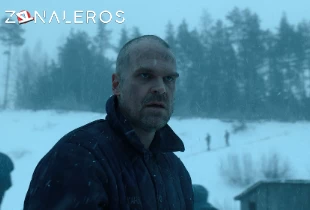 Ver Stranger Things temporada 4 episodio 3