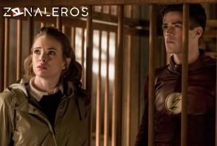 Ver The Flash temporada 3 episodio 13