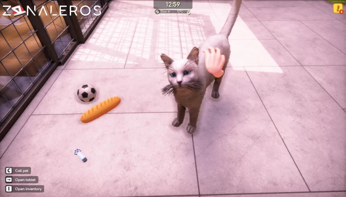 Animal Shelter 2 gameplay