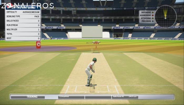 Ashes Cricket gameplay