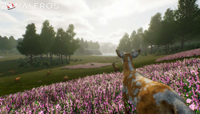 Deer Journey gameplay