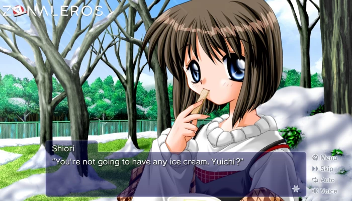 Kanon gameplay