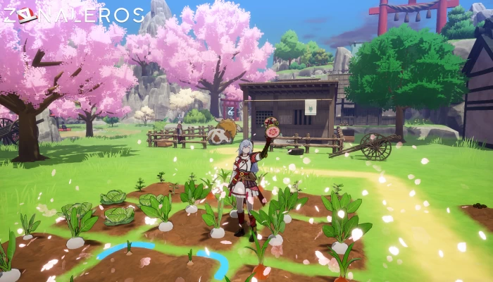 Rune Factory Guardians of Azuma Deluxe Edition gameplay