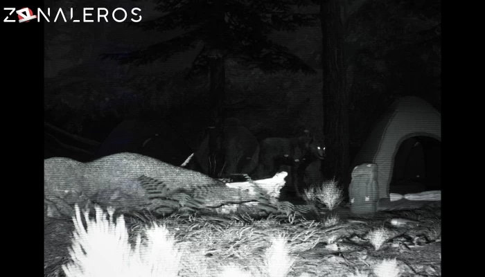 TRAILCAM por mega
