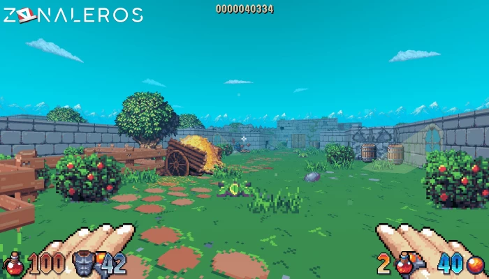 descargar Wizordum