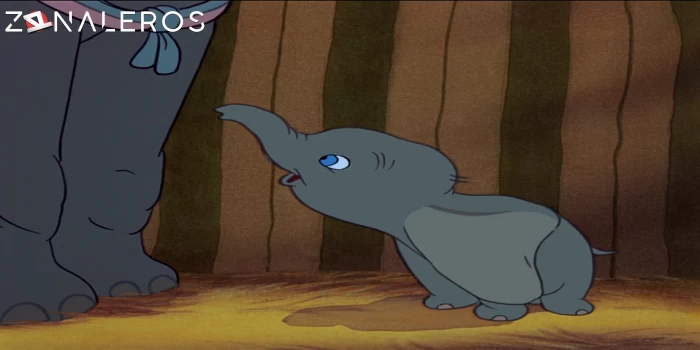 Dumbo gratis