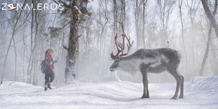 descargar El chico que salvó la Navidad