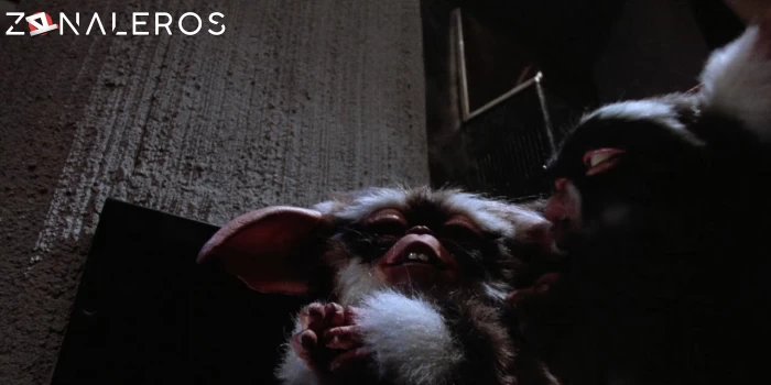 descargar Gremlins 2: La nueva generación