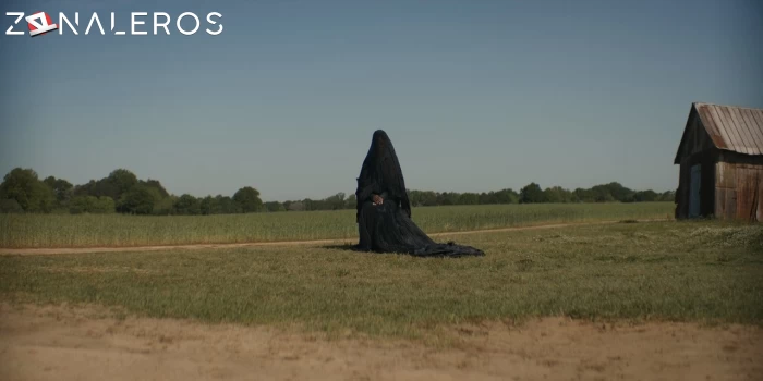 La mujer de las sombras gratis