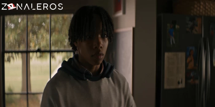 descargar La mujer de las sombras