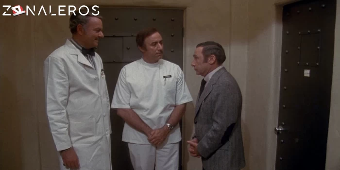 descargar Las angustias del Dr. Mel Brooks