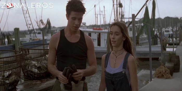 descargar Sé lo que hicieron el verano pasado