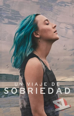 ver Un viaje de sobriedad
